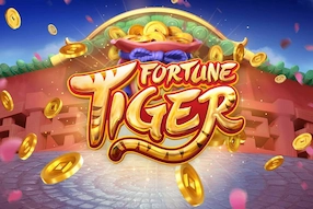 tiger fortune